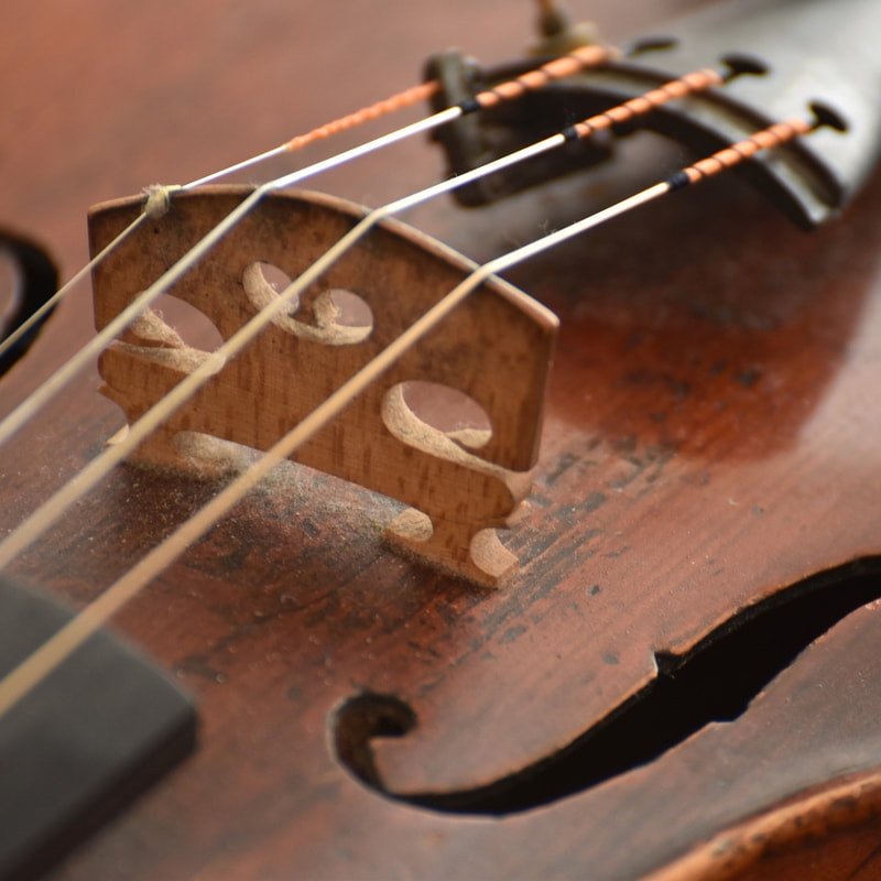 Close up of a violin bridge also showing portions of the strings, tailpiece, sound holes, fingerboard, and top.